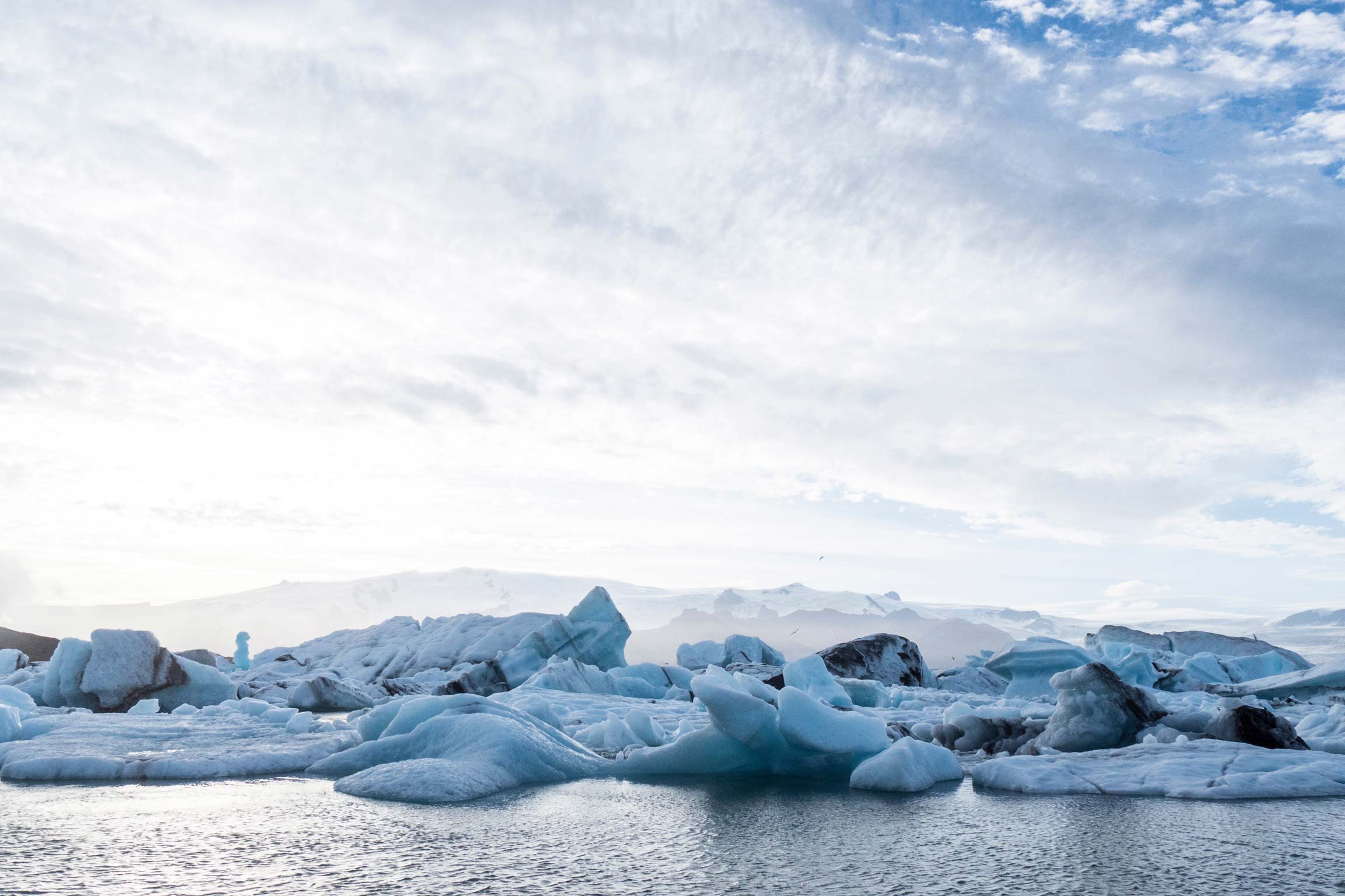 Biztree Becomes the Main Sponsor of La Grande Percee Pole 2 Pole Expeditions by Sebastien Audy